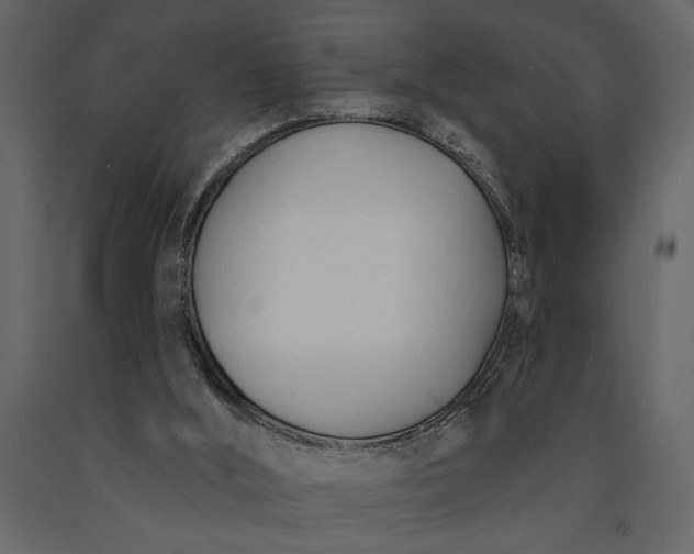 X0000091070012200708271225