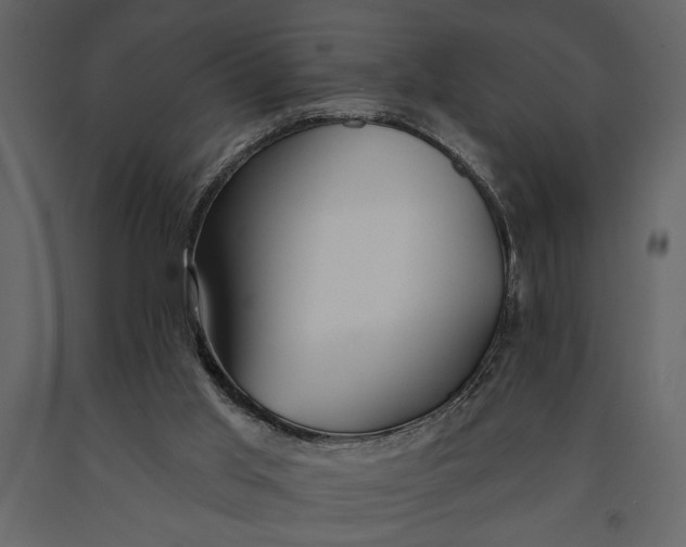 X0000091070013200708271225
