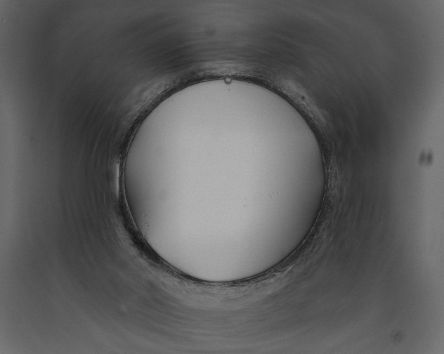 X0000091070014200708271225
