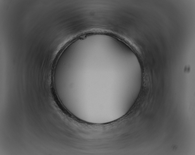 X0000091070015200708271225