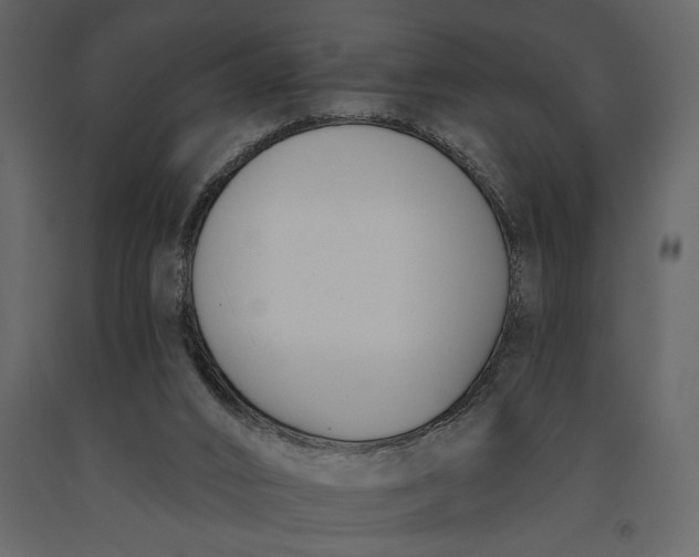 X0000091070016200708271225