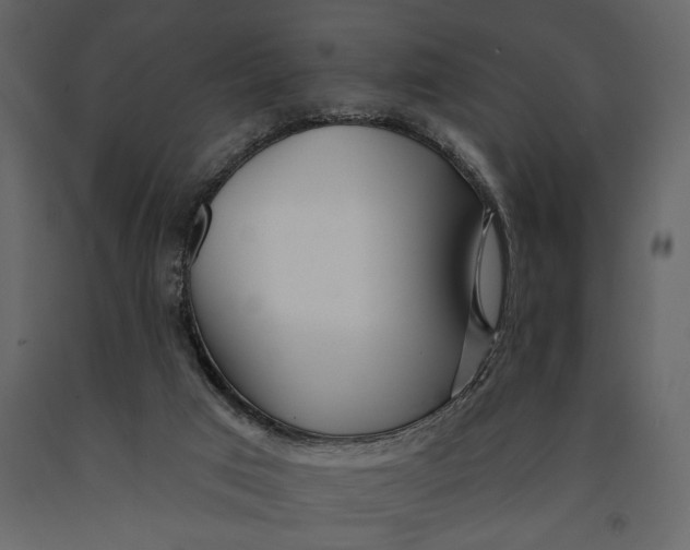 X0000091070017200708271225