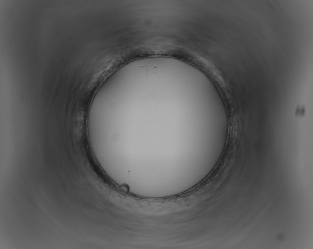 X0000091070018200708271225
