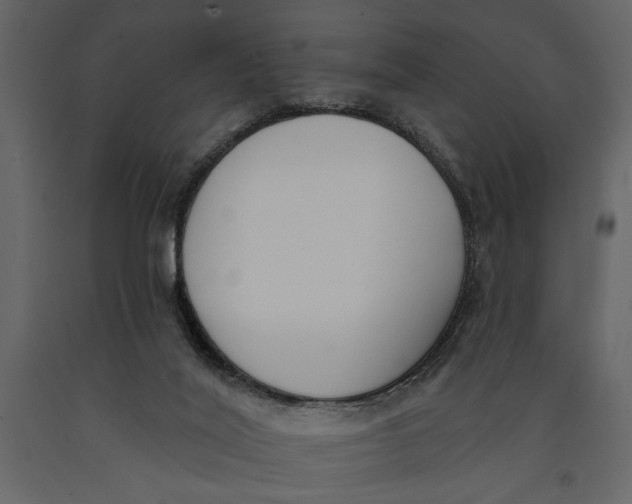 X0000091070020200708271225