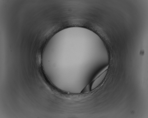 X0000091070021200708271225