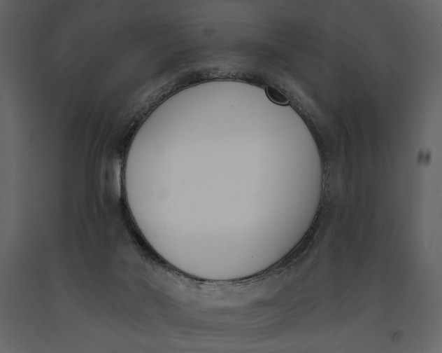 X0000091070022200708271225