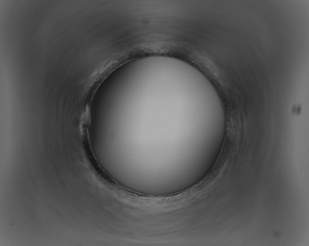 X0000091070023200708271225