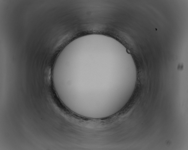 X0000091070024200708271225