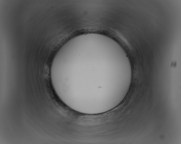 X0000091070025200708271225