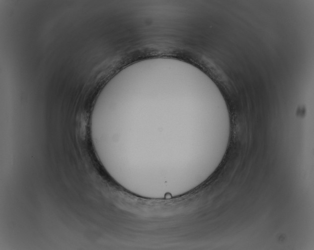 X0000091070026200708271225