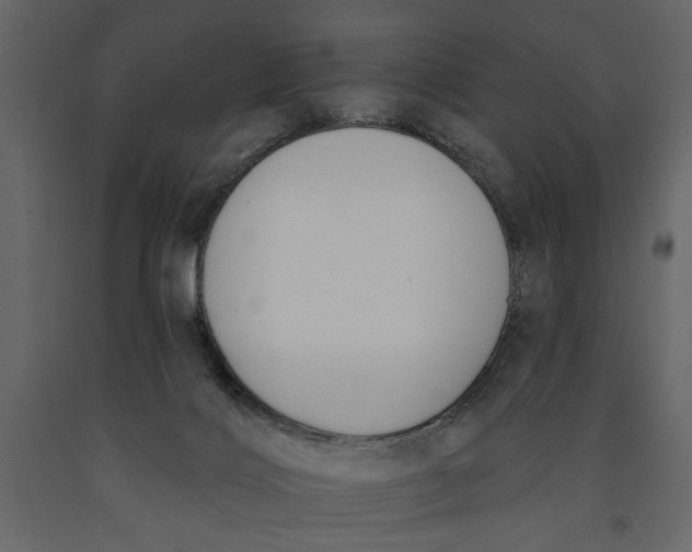 X0000091070028200708271225