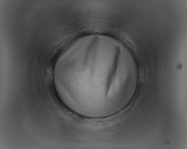 X0000091070029200708271225