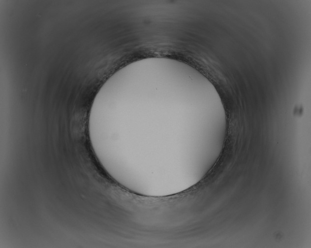 X0000091070030200708271225