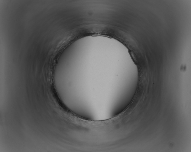 X0000091070031200708271225