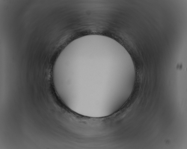 X0000091070032200708271225