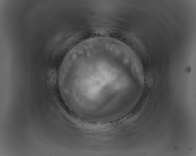 X0000091070036200708271225
