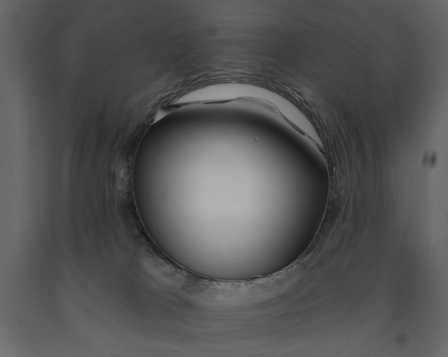X0000091070037200708271225