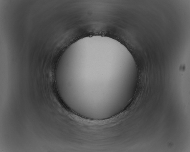X0000091070039200708271225