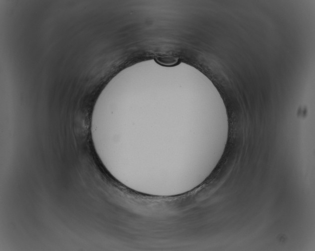 X0000091070040200708271225