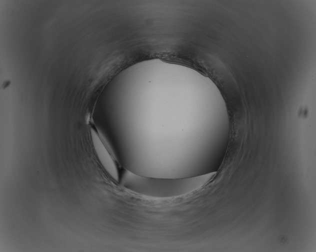 X0000091070041200708271225