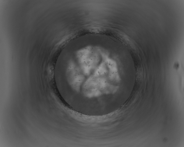 X0000091070043200708271225