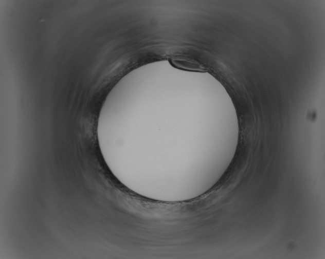 X0000091070044200708271225