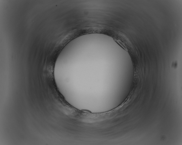 X0000091070045200708271225