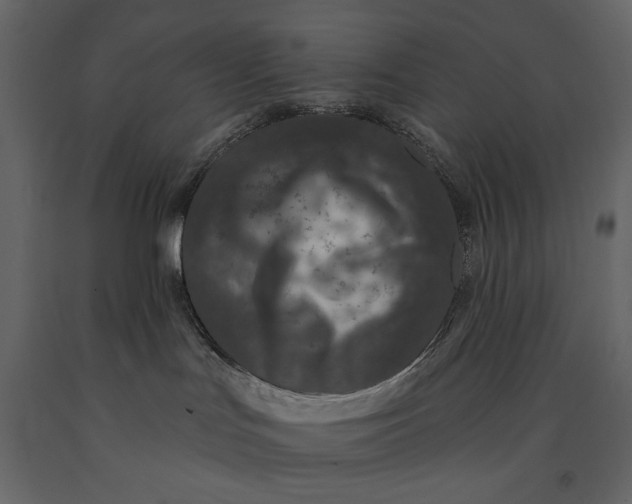 X0000091070047200708271225