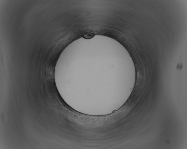X0000091070048200708271225