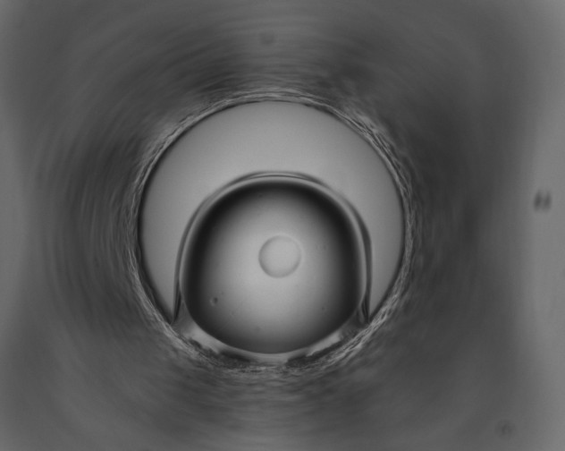 X0000091070049200708271224