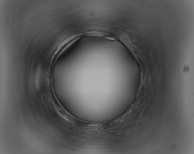 X0000091070050200708271224