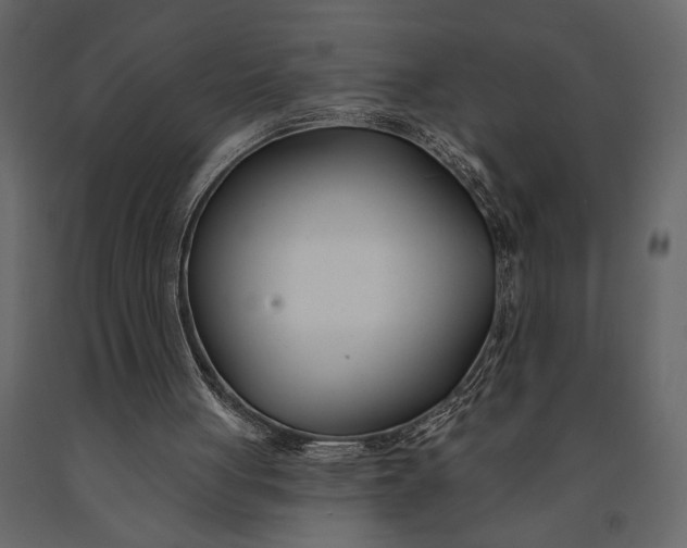 X0000091070051200708271224