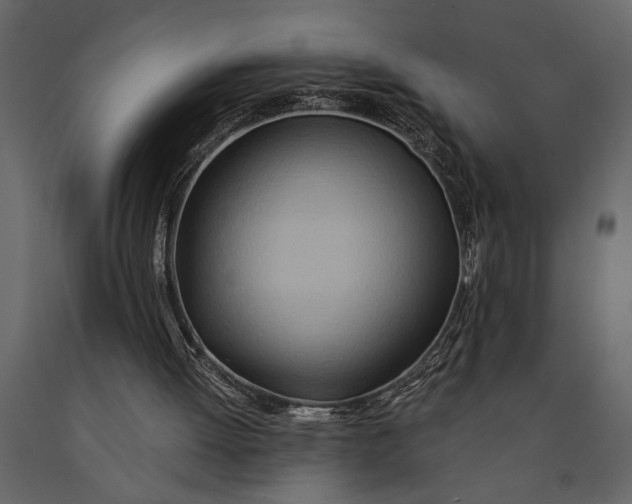 X0000091070052200708271224