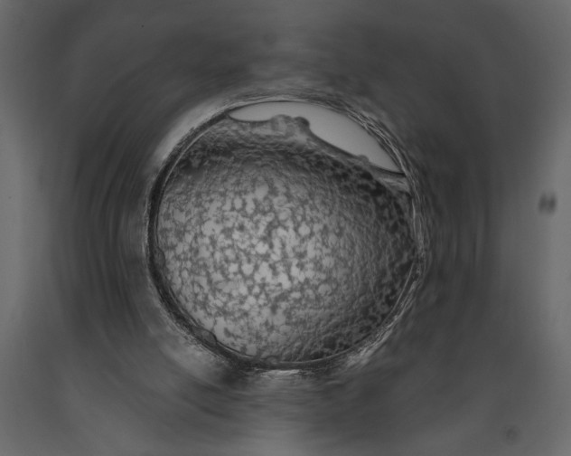 X0000091070054200708271224