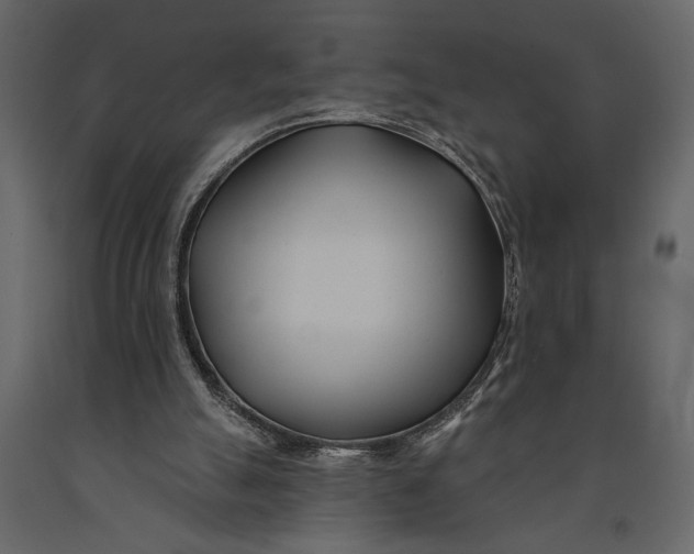 X0000091070055200708271224