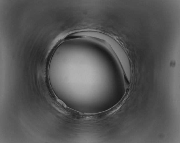 X0000091070056200708271224