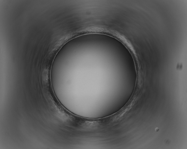 X0000091070057200708271224