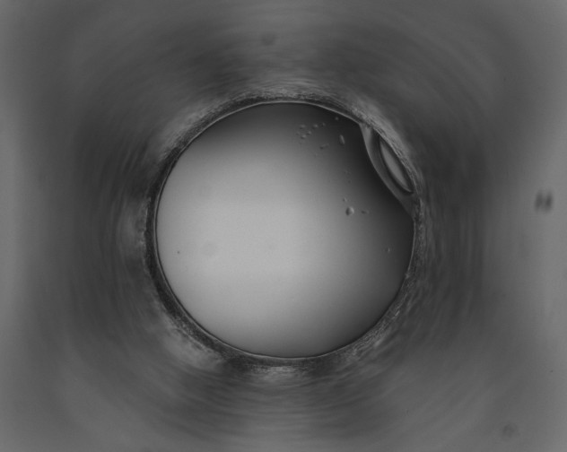X0000091070058200708271224