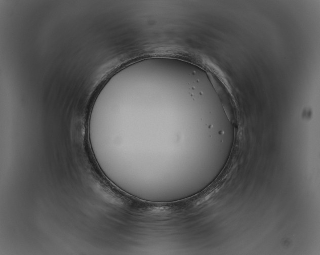 X0000091070059200708271224
