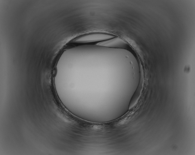 X0000091070060200708271224
