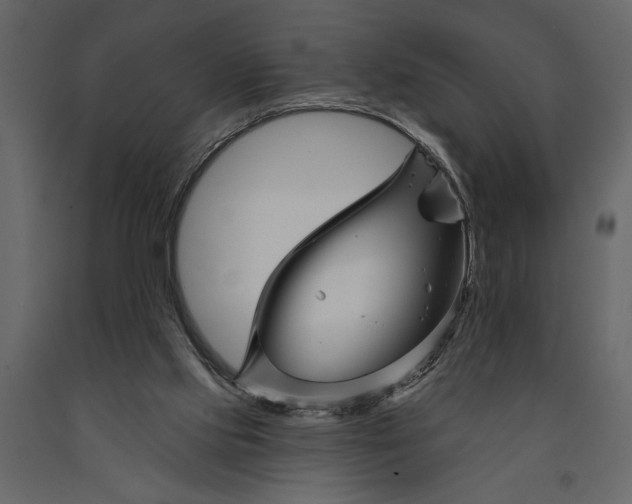 X0000091070061200708271224