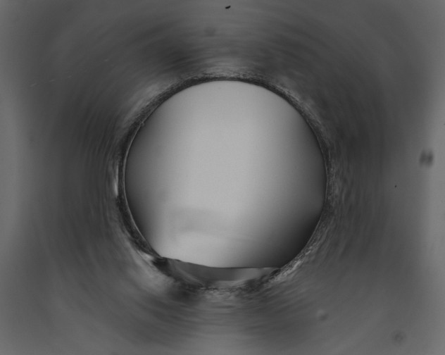 X0000091070062200708271224