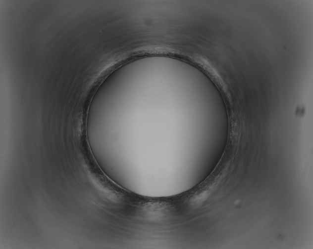 X0000091070063200708271224