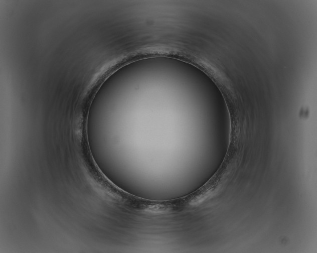 X0000091070064200708271224