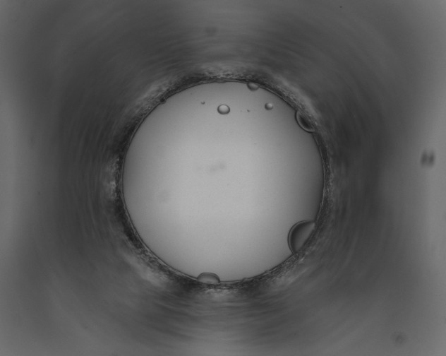 X0000091070065200708271224