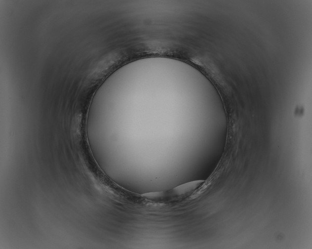 X0000091070066200708271224