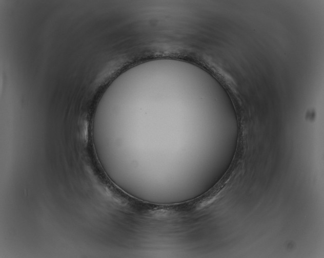 X0000091070067200708271224
