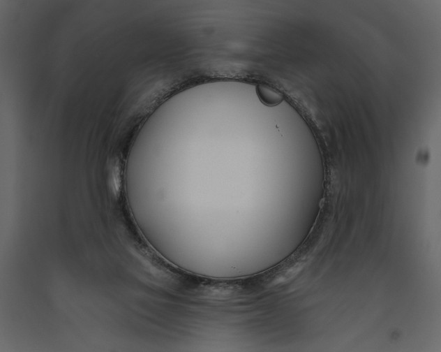 X0000091070069200708271224