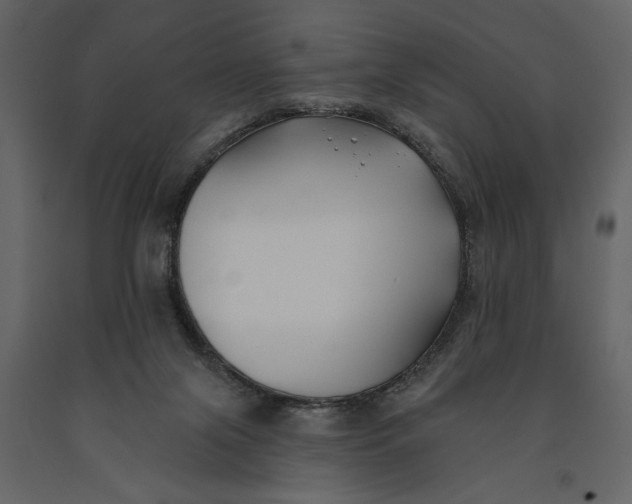 X0000091070071200708271224