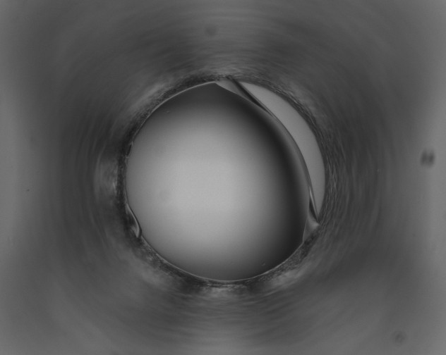 X0000091070072200708271224